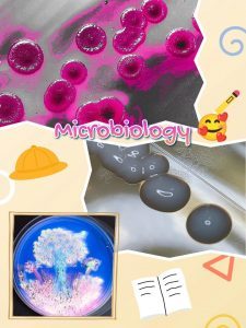 mikrobiologie
