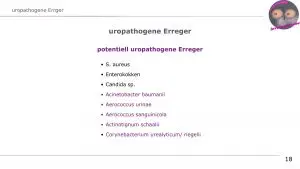 uropathogene Erreger.