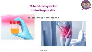 mikrobiologische Urindiagnostik bei Harnwegsinfektionen.