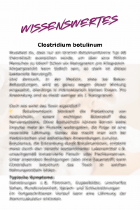 Quiz Buch(3)1