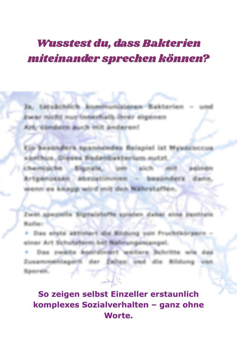 wissenswertes bakterien
