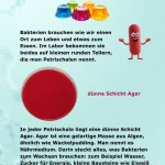 kinderbuch 40