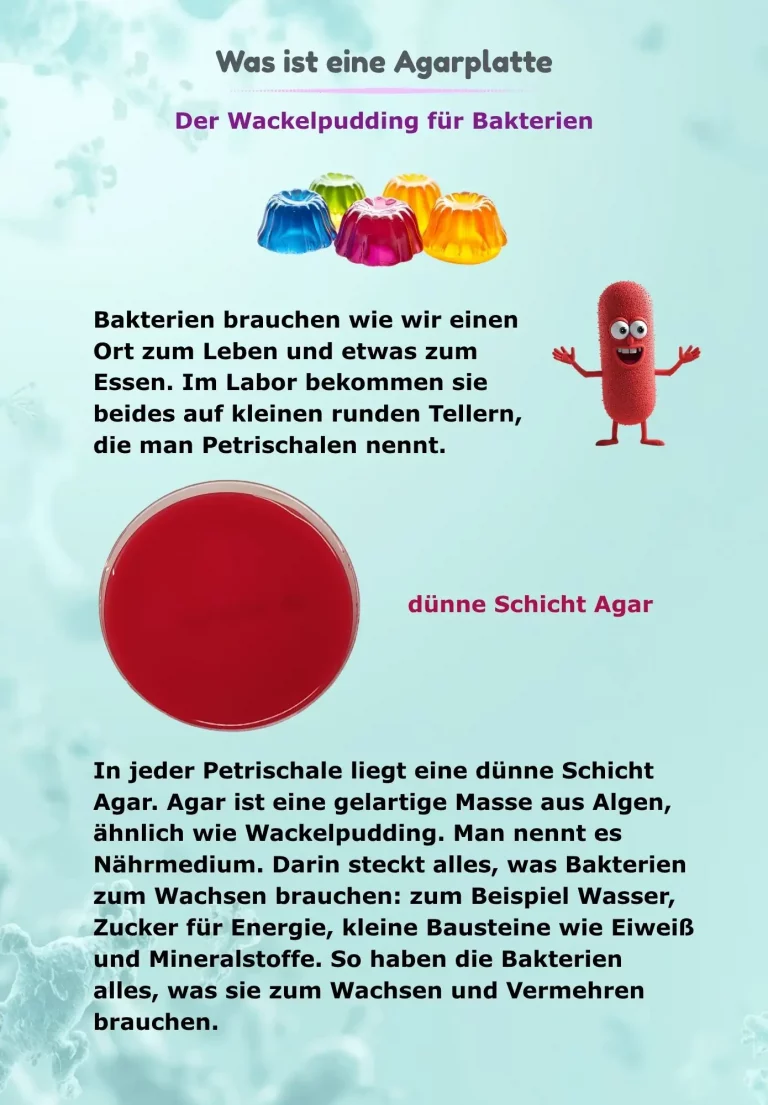 kinderbuch 40