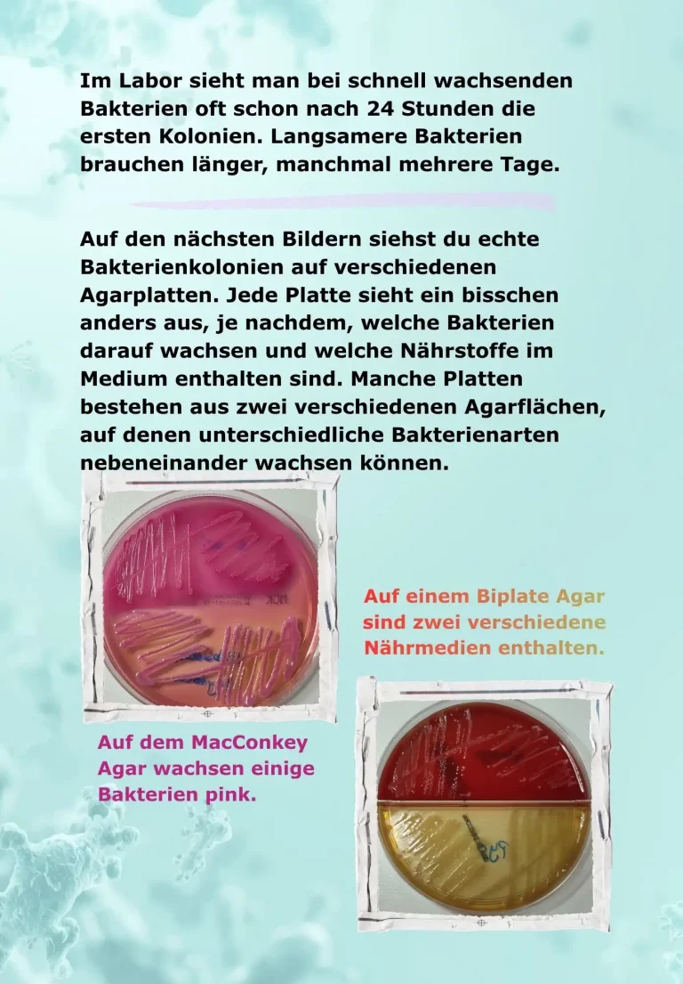 kinderbuch 46