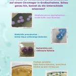 kinderbuch 52
