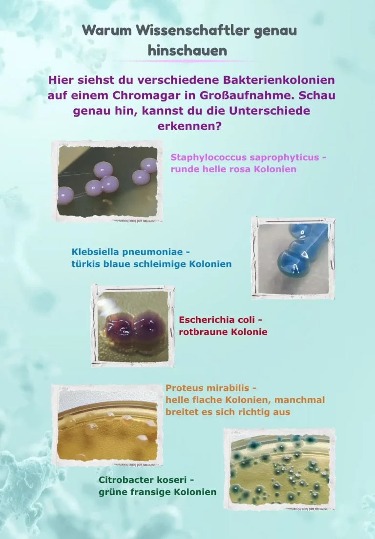 kinderbuch 52
